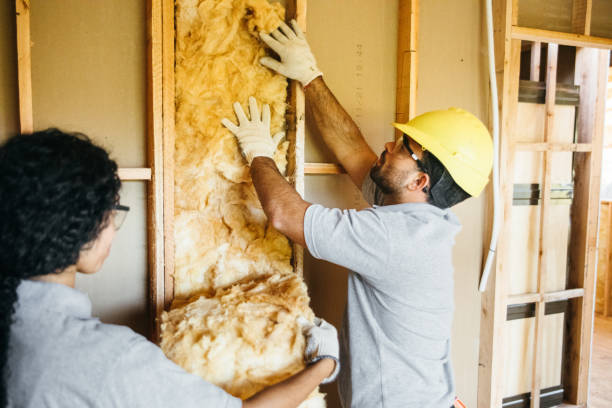 Professional Insulation in North Utica, IL